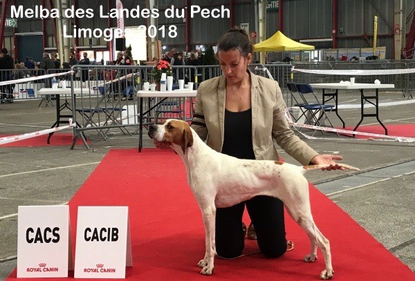 Melba Des landes du pech