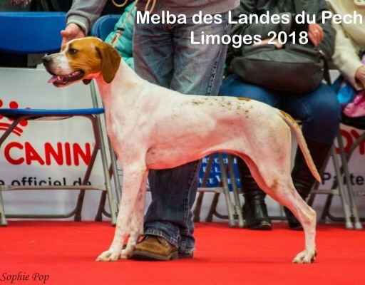 Melba Des landes du pech